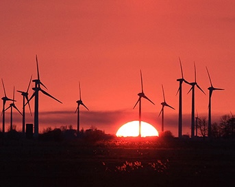 Bild vom Windparks Neuenkirchen